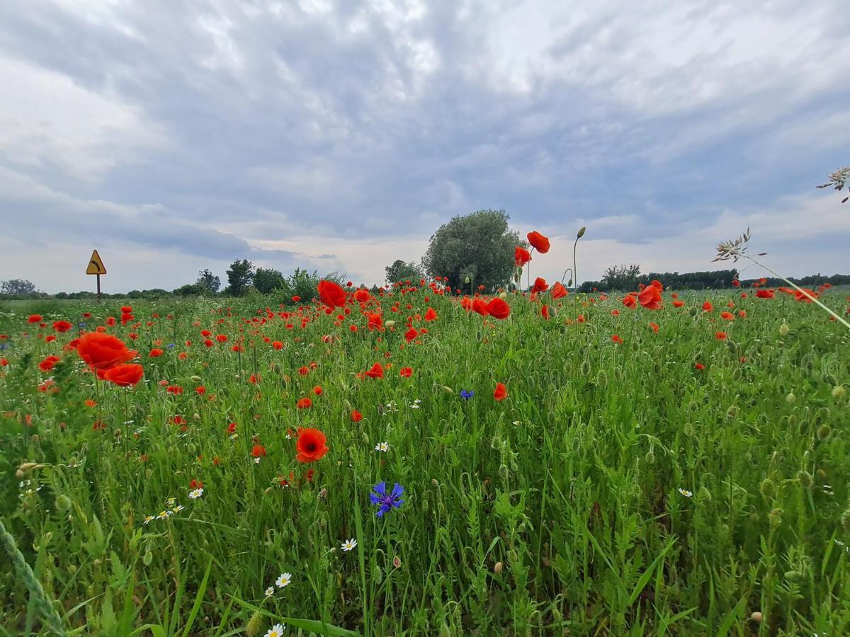 Vila Siedlisko Jozefka Zarobka Exteriér fotografie