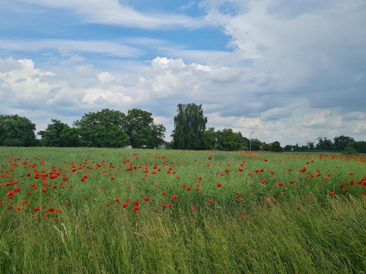 Vila Siedlisko Jozefka Zarobka Exteriér fotografie