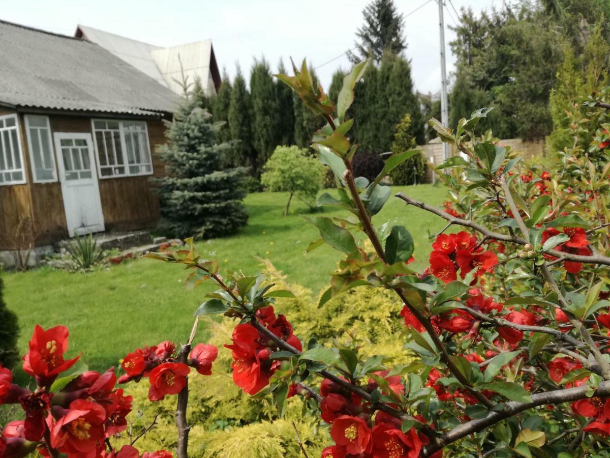 Vila Siedlisko Jozefka Zarobka Exteriér fotografie